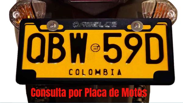 Consulta por Placa de Motos