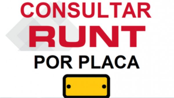 consulta por placa
