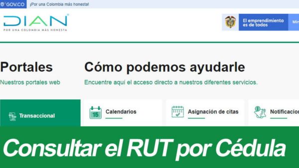 Consultar RUT por Cedula