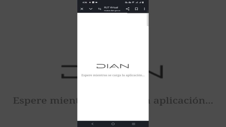 Descargar RUT en PDF desde el Celular Guía para Android y iPhone