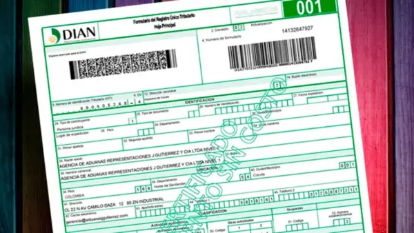 Errores comunes al descargar el RUT y cómo evitarlos