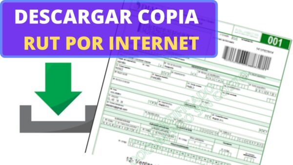 Cómo Descargar tu RUT en PDF sin Contraseña